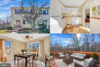 13659 Wildflower Ln, Clifton, VA 20124