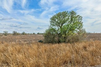 TBD Cr 270, Realitos, TX 78376