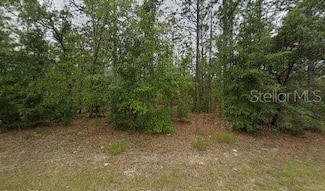 846 W Hemlock Dr, Citrus Springs, FL 34434