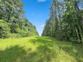 0 Antioch-Shiloh Rd, Pelahatchie, MS 39145