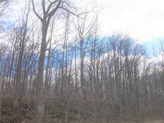 0 Briggs St, Honeoye, NY 14471