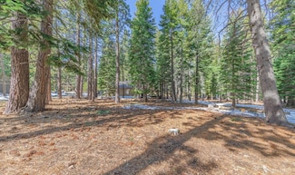 581 Cochise Cir, South Lake Tahoe, CA 96150