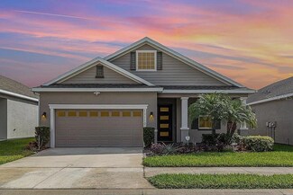 11110 Swansea St, Riverview, FL 33578
