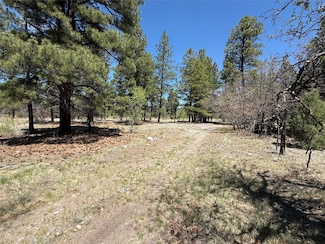 TBD State Road 512, Chama, NM 87520