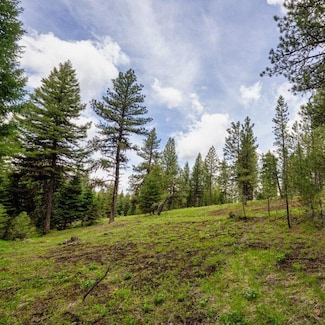 Lot 23 To Be Determined Unit 23, McCall, ID 83638