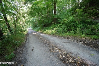 0 Holiday Haven Rd, Smithville, TN 37166