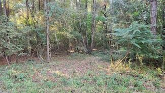 Lot 16 Lakeshore Dr, Tuskegee, AL 36083