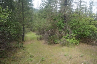 6269 Dutch Creek Rd, Junction City, CA 96048