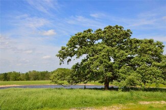 TBD Farm To Market 149, Anderson, TX 77830