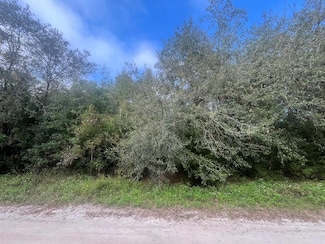 TBD SW 132nd Ave, Dunnellon, FL 34432