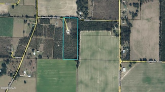 4300 Rogers Rd, Greenwood, FL 32443