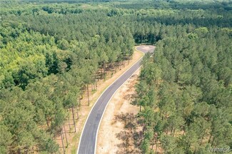 Lot 20 Stormi Way, Berry, AL 35546