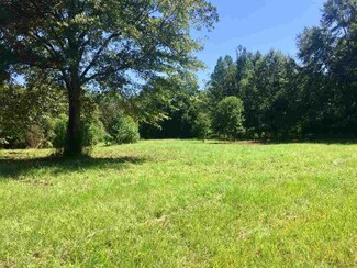 434 Kalem Rd, Morton, MS 39117