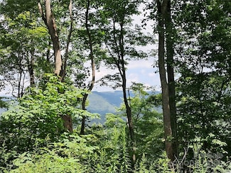 00 Hurricane Ridge Trace Unit 53, Clyde, NC 28721