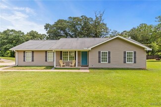 16320 Oak Valley Dr, Ralph, AL 35480