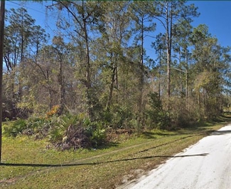 103 Kingfish Ave, Palatka, FL 32177