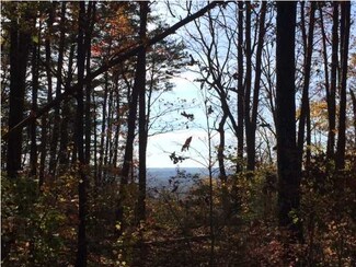 0 S Shivas Crest Unit 1295594, Rising Fawn, GA 30752