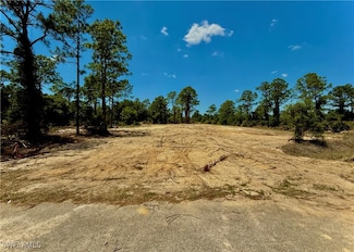 325 Abbott Ave, Lehigh Acres, FL 33936