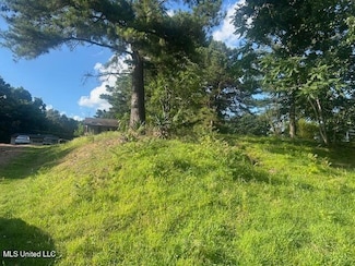 196 Pleasant Hill Rd, Nesbit, MS 38651