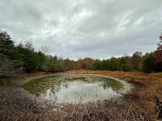 TBD Polk County Road 28, Hatfield, AR 71945