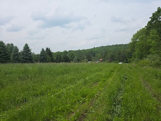 County Rd 34 Unit Lot WP001, Norwich, NY 13815