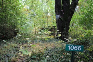 1066 S Lake View Dr, Stanley, VA 22851
