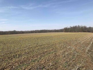 106 Acres E County Road 350 S, Dugger, IN 47848