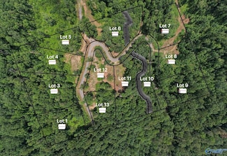 Lot 13 Wyeth Dr, Guntersville, AL 35976