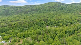6010 Happy Valley Rd, Tallassee, TN 37878