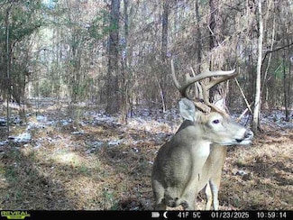 0 Pecan Orchard Rd, Liberty, MS 39645