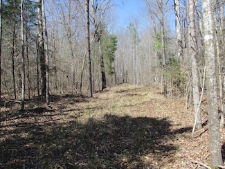 0 Wilkinstown Rd, Parsons, TN 38363