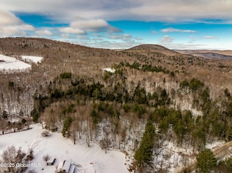 L37 Phillips Rd, Petersburgh, NY 12138