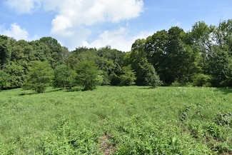 0 Hogans Creek Rd Unit RTC2944806, Carthage, TN 37030