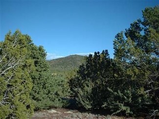 1518 W Antelope Ln Unit 23, Williams, AZ 86046