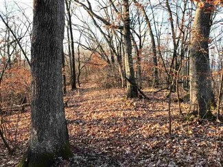 59 Ac Hwy 130, Buena Vista, WI 53556
