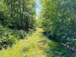 Lot 12 Hidden Ln, Murphy, NC 28906