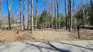 1359 Timber Pass Unit PO119, Harbor Springs, MI 49740