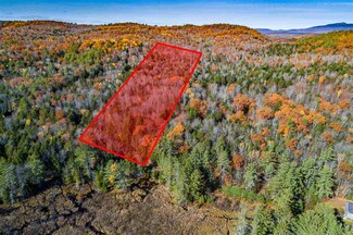 Lot 27 Ford Mill Rd, Danbury, NH 03230