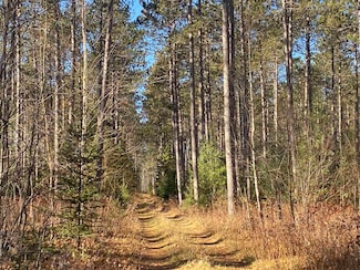 ON Cth D, Tomahawk, WI 54487