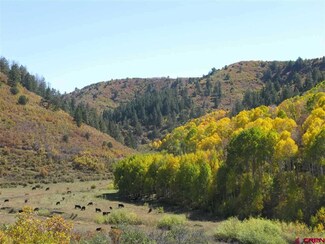 TBD County Road 139 Unit Upper Cherry Creek, Hesperus, CO 81326