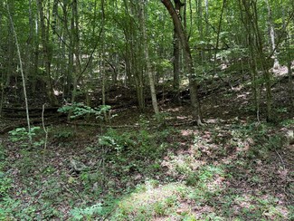 0 Saldeer Mountain Rd, Franklin, NC 28734