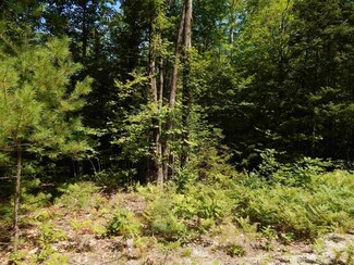 Lot #8 Chalk Pond Rd, Newbury, NH 03255