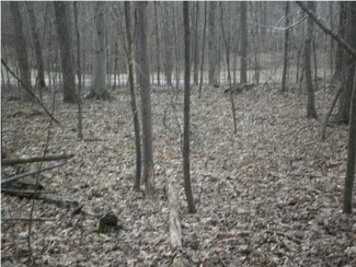 1117 Bluff Rd, Birdseye, IN 47513
