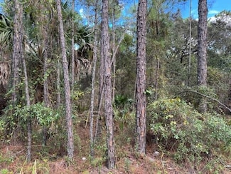 0 12th Ave Unit MFRV4945779, Deland, FL 32724