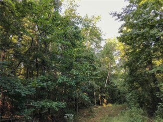 0 Lee Road 188 Unit 142500, Waverly, AL 36879