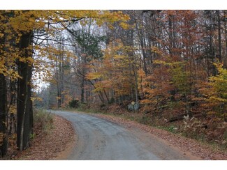 70 Glebe Mountain Rd, West Townshend, VT 05359