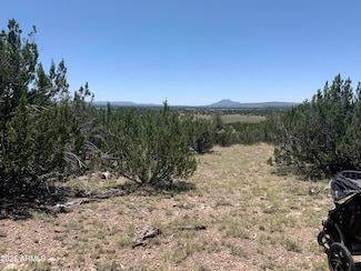 37925 Raptor Rd Unit 764, Seligman, AZ 86337