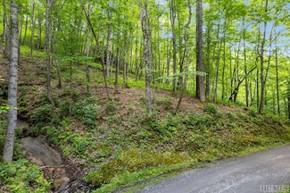 12C von Trapp Ln, Tuckasegee, NC 28783
