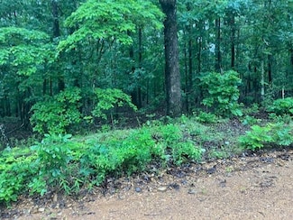 TBD Newman Trail, Williford, AR 72482
