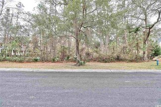 Lot 51 Lantana Cir Unit DeBordieu Colony, Georgetown, SC 29440